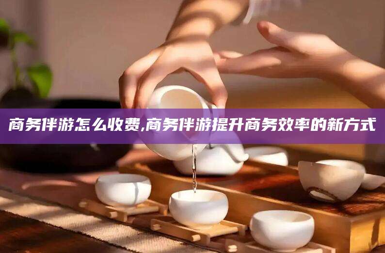 馆陶商务伴游怎么收费,商务伴游提升商务效率的新方式